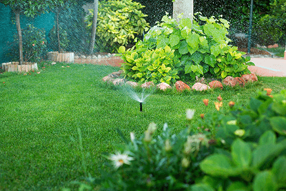Aménagement jardin Namur JLM